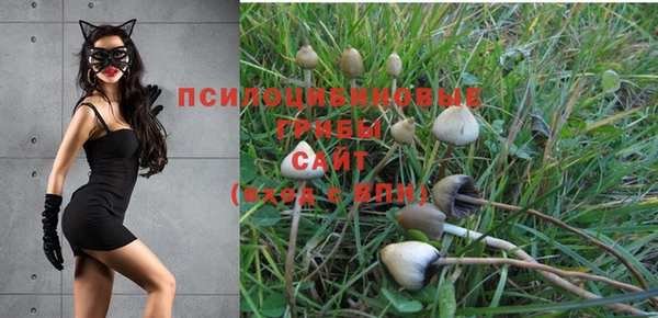 кристаллы Алексин