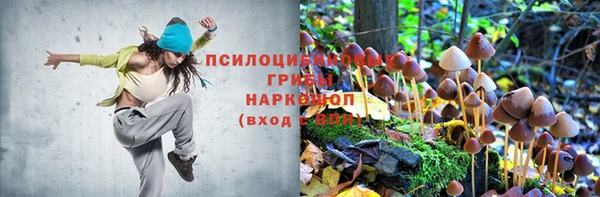 mdpv Заполярный