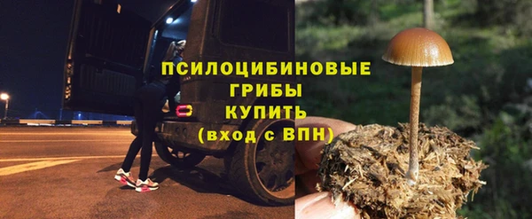 скорость Заречный