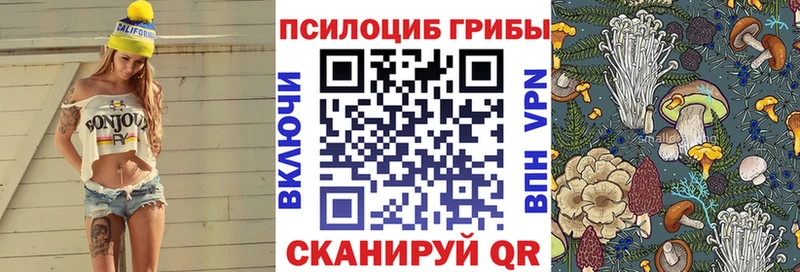 купить наркотики цена  Котово  blacksprut зеркало  Псилоцибиновые грибы Psilocybe 